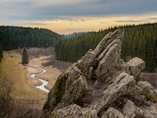 Bungalow Robelmont Environnement 28