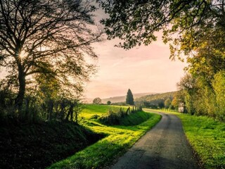 Bungalow Robelmont Umgebung 35