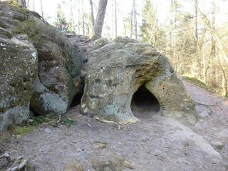 Bungalow Robelmont Omgeving 42