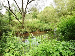 Bungalow Robelmont Environment 15