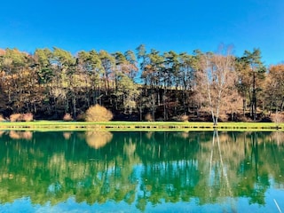 Bungalow Robelmont Environment 24