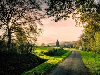 Bungalow Robelmont Umgebung 11