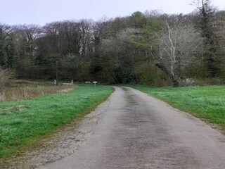 Bungalow Robelmont Environment 26