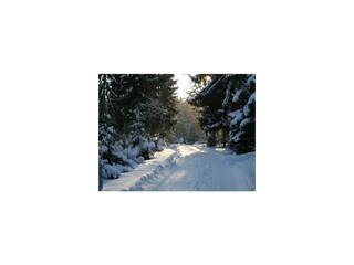 Vakantiepark Gerolstein Omgeving 29