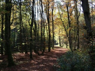 Parque de vacaciones Gerolstein Entorno 40