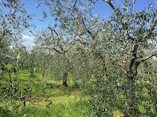Casa de campo Pian di Scò Grabación al aire libre 20