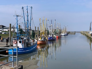Meerblick