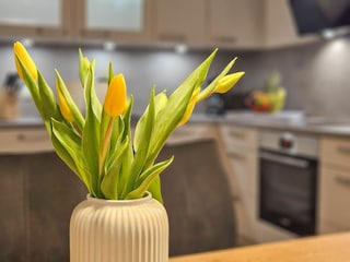 Vakantieappartement Dorum-Neufeld Buitenaudio-opname 4
