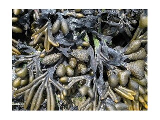 Appartamento per vacanze Dorum-Neufeld Registrazione all'aperto 20