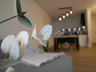 Appartamento per vacanze Kellenhusen Caratteristiche 26