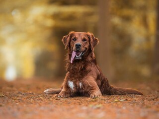 Vakantieappartement Kellenhusen Buitenaudio-opname 15
