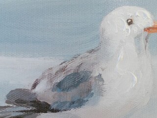 Appartamento per vacanze Kellenhusen Registrazione all'aperto 16