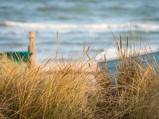 Casa per le vacanze Lohme Registrazione all'aperto 26