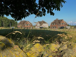 Maison de vacances Lohme Environnement 41