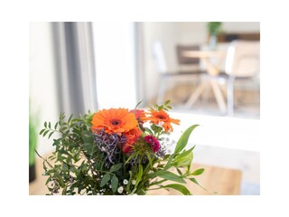 Vakantieappartement Timmendorfer Strand Kenmerken 12