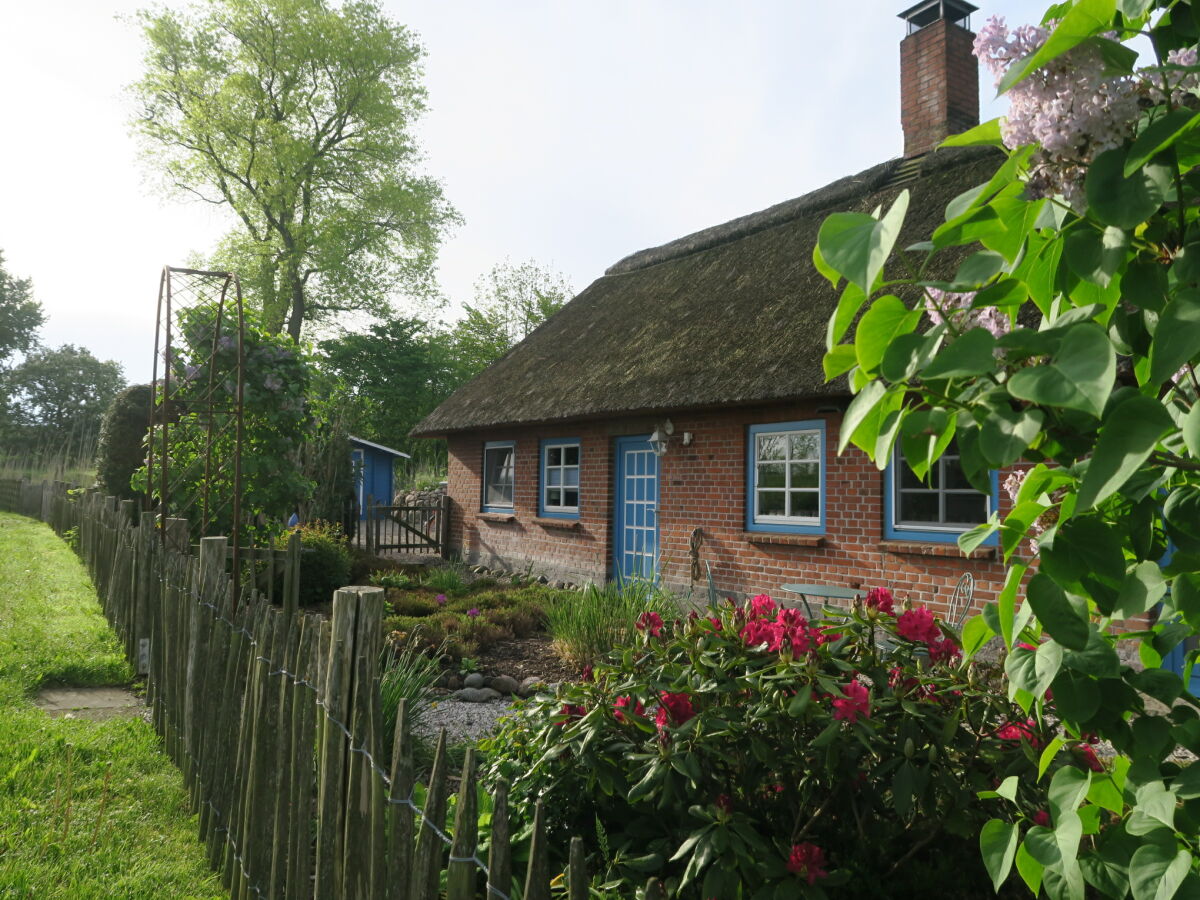 Die Reetkate am Dorfteich