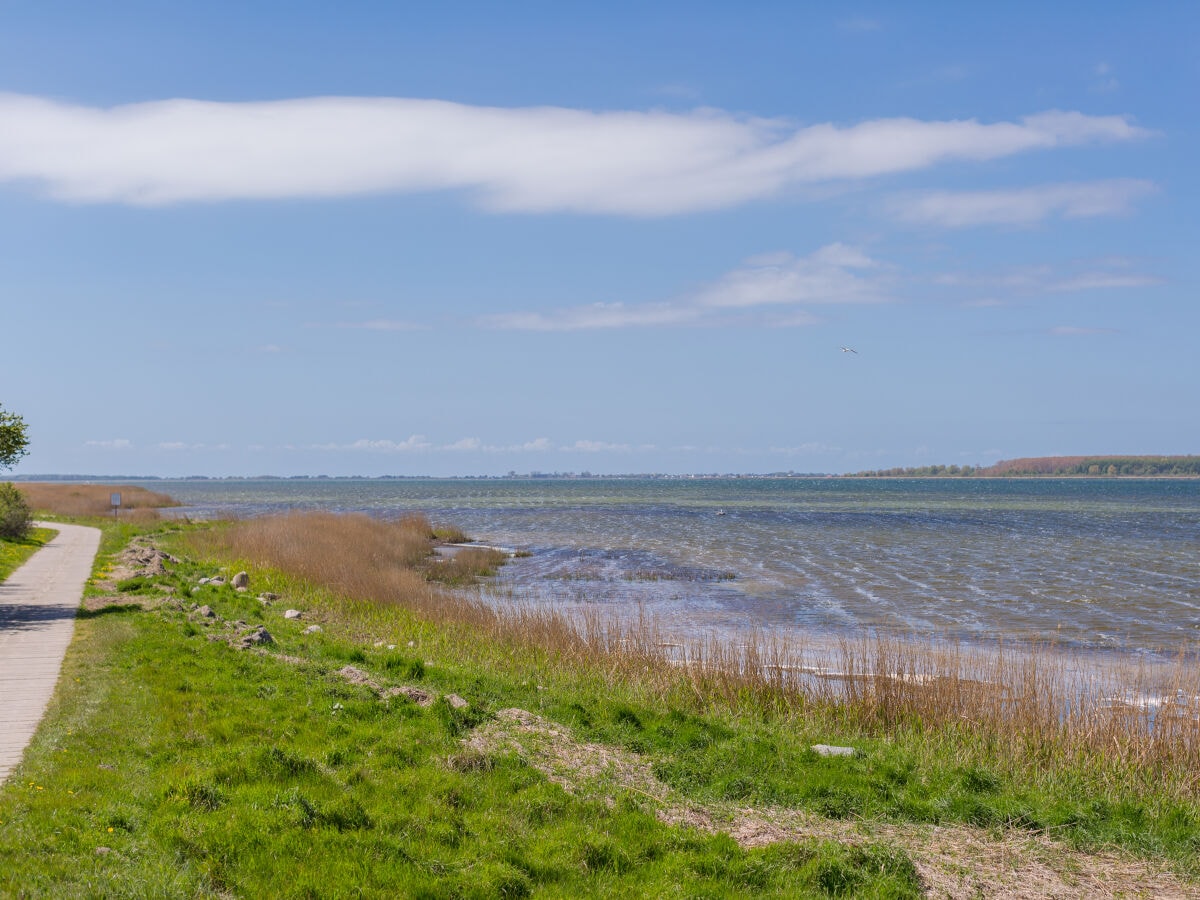 Jasmunder Bodden