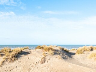 Apartamento Koksijde  3