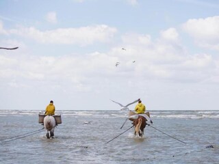 Appartement Koksijde Omgeving 17