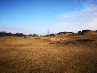 Appartement Koksijde Environnement 27