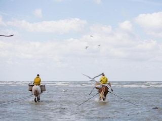 Appartement Koksijde Environnement 27