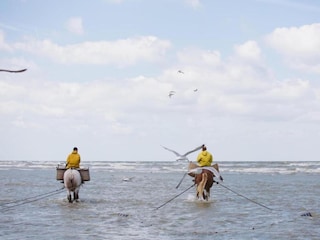Apartment Koksijde Umgebung 7
