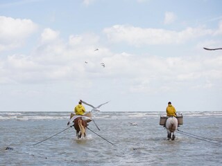 Appartamento Koksijde Caratteristiche 11