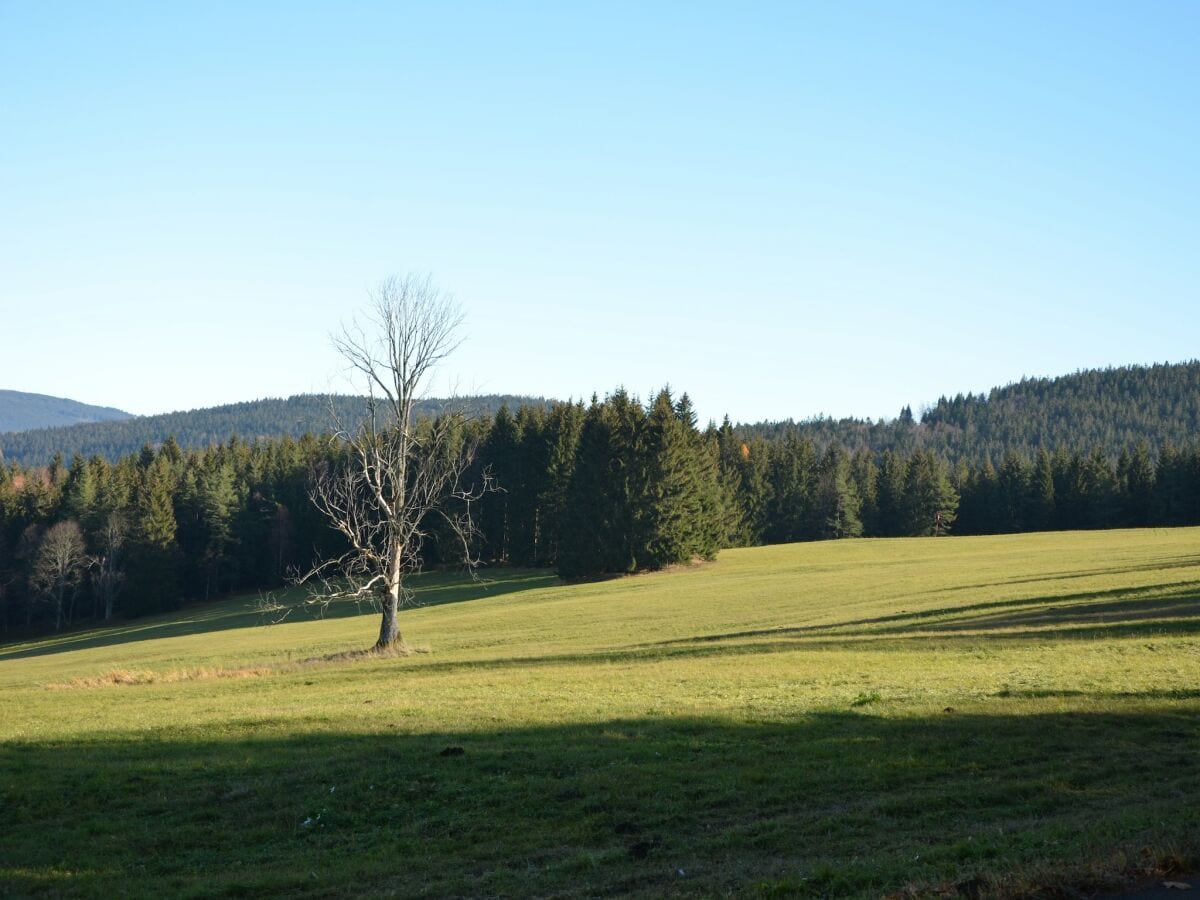 Ferienhaus Železná Ruda Umgebung 18