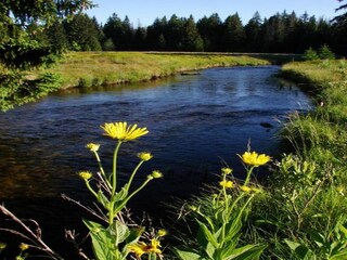 Vakantiehuis Železná Ruda Omgeving 35