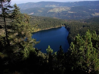 Ferienhaus Železná Ruda Umgebung 36