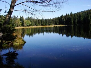 Maison de vacances Železná Ruda Environnement 21