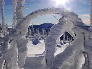 Casa de vacaciones Železná Ruda Entorno 17