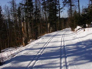 Ferienhaus Železná Ruda Umgebung 22