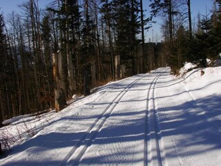 Ferienhaus Železná Ruda Umgebung 24