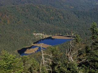 Maison de vacances Železná Ruda Environnement 21