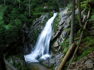 Casa per le vacanze Železná Ruda Ambiente 36