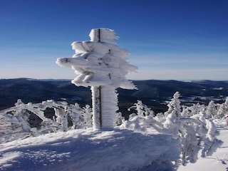 Holiday house Železná Ruda Environment 26