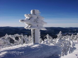 Vakantiehuis Železná Ruda Omgeving 26