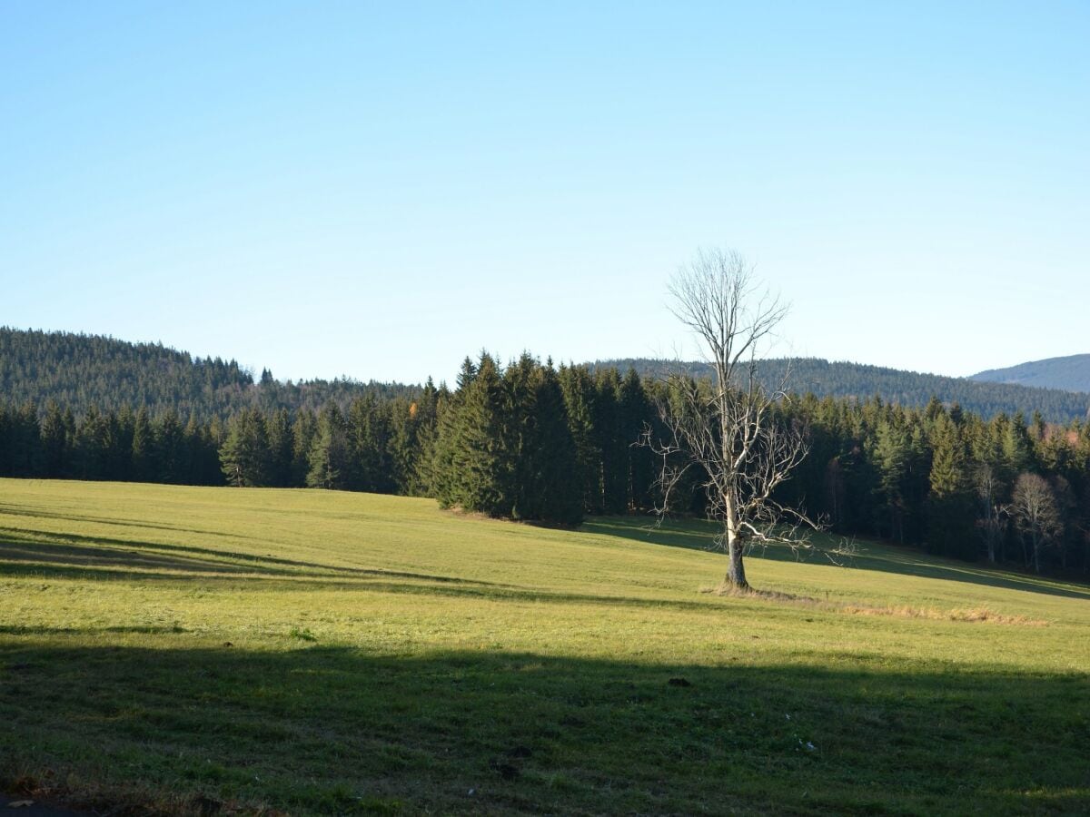 Ferienhaus Železná Ruda Außenaufnahme 9