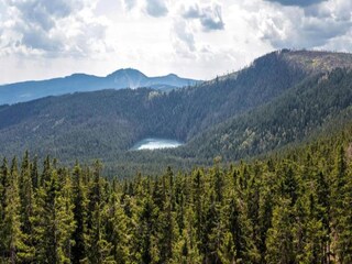 Maison de vacances Železná Ruda Environnement 40