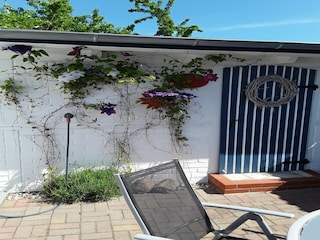 Ferienhaus Zempin Außenaufnahme 6