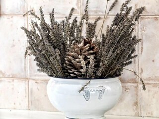 Holiday house Montseny Features 32