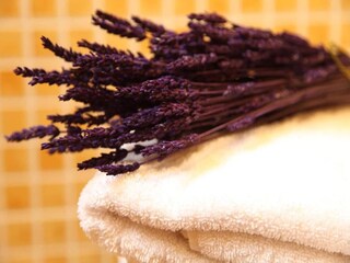 Casa per le vacanze Montseny  38