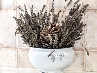 Ferienhaus Montseny Ausstattung 28