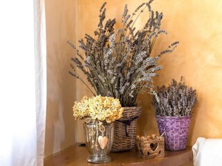 Vakantiehuis Montseny  41