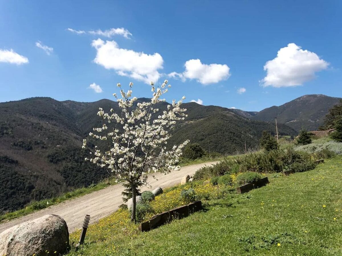 Ferienhaus Montseny Umgebung 30