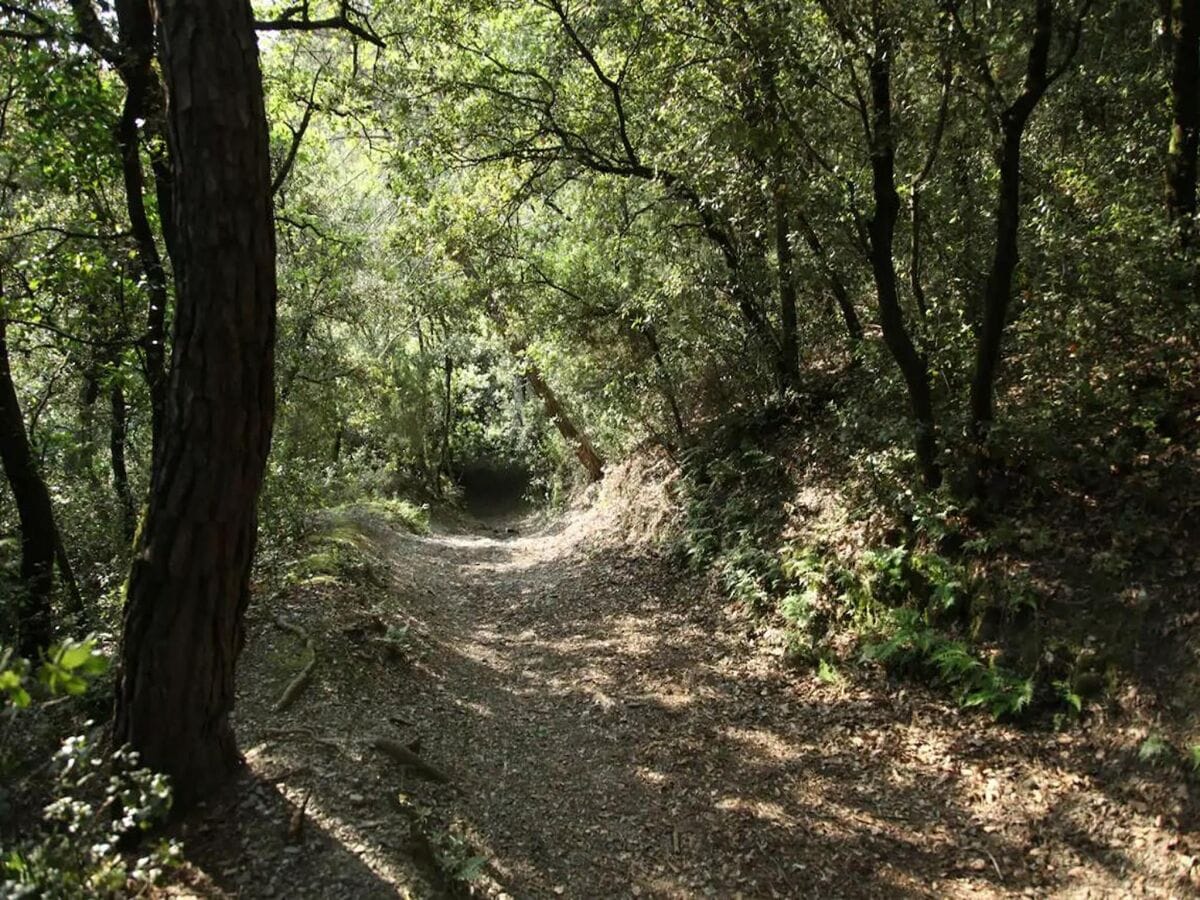 Ferienhaus Montseny Umgebung 33