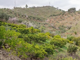 Maison de vacances Almogía Environnement 26