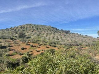 Maison de vacances Almogía Environnement 30