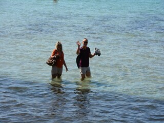 Maison de vacances Néoules Environnement 33